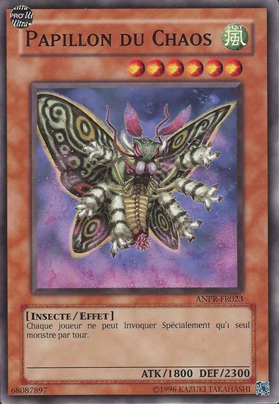 Papillon du Chaos