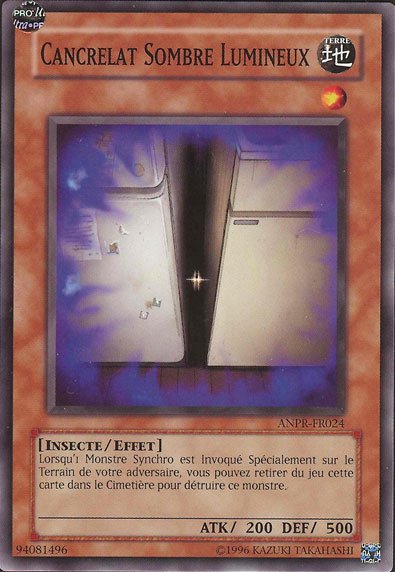 Cancrelat Sombre Lumineux