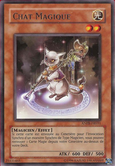 Chat Magique