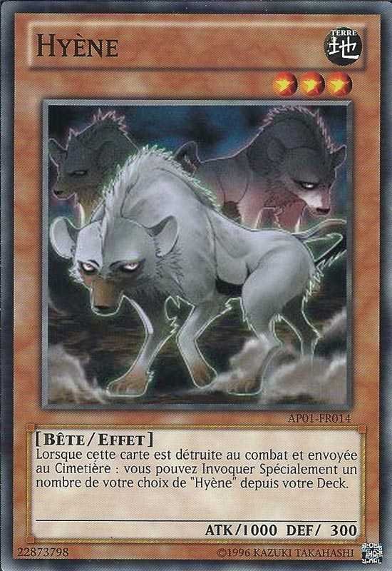 Hyène