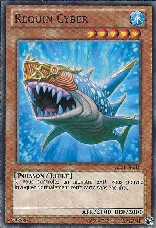 Requin Cyber