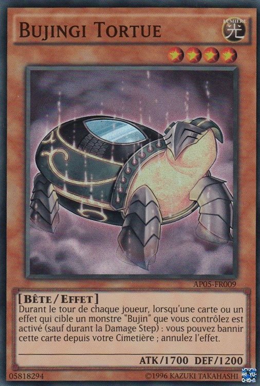 Bujingi Tortue