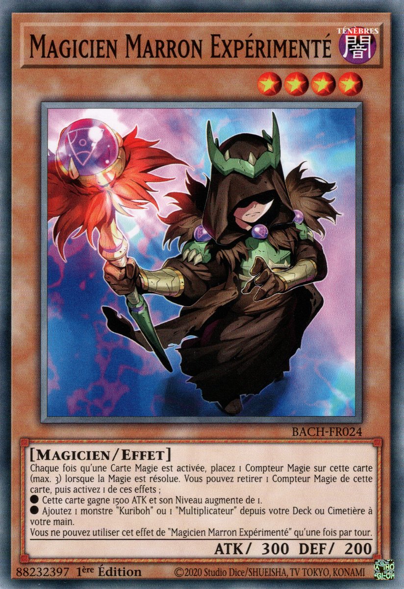 Magicien Marron Expérimenté