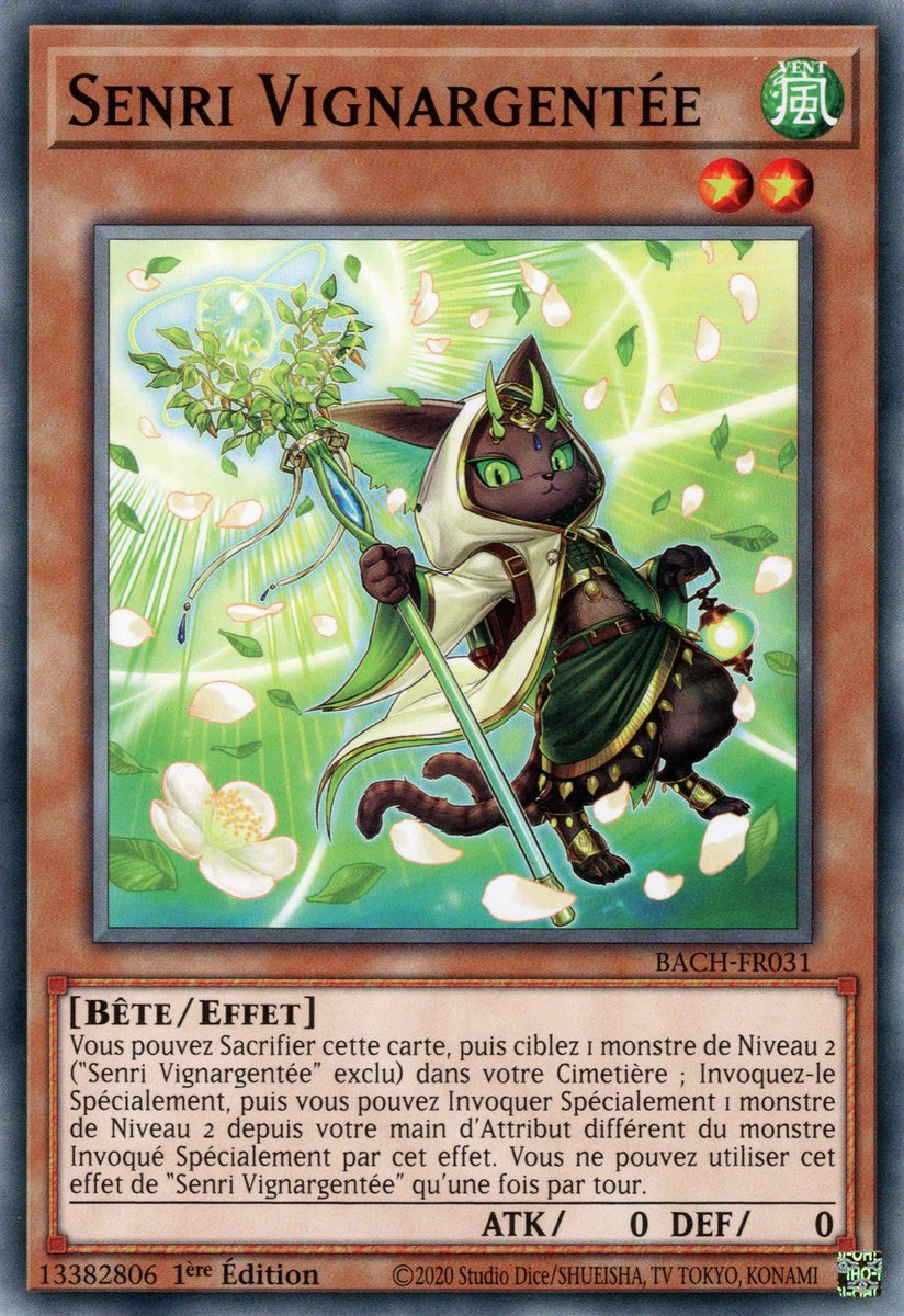 Senri Vignargentée