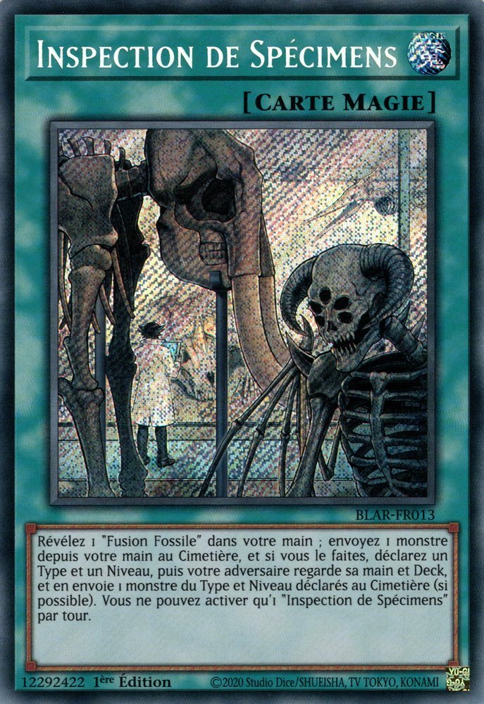 Specimen Inspection