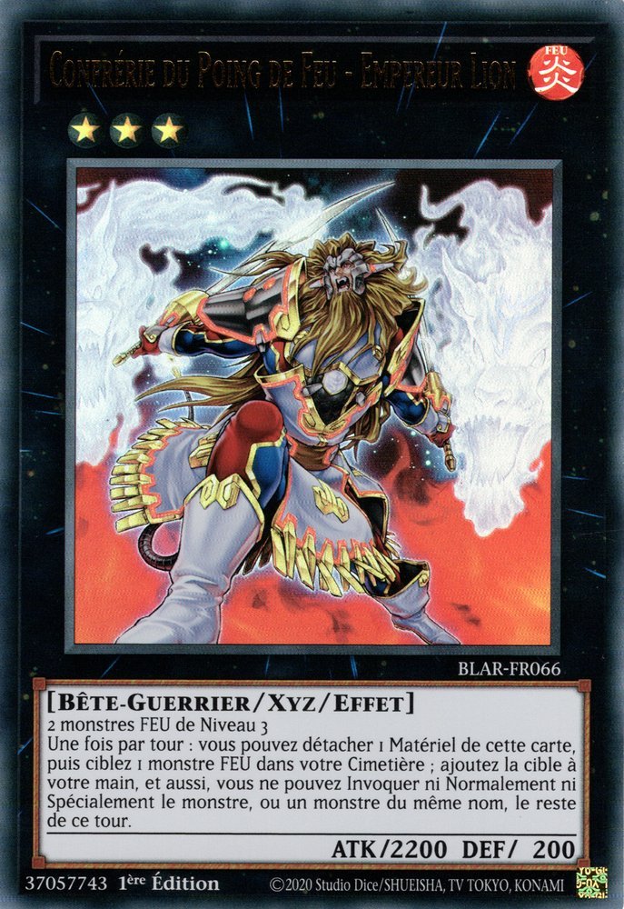 Brotherhood of the Fire Fist - Lion Emperor