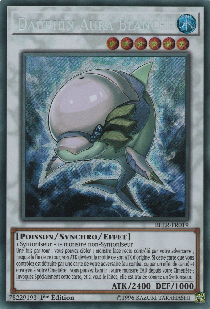 Dauphin Aura Blanche
