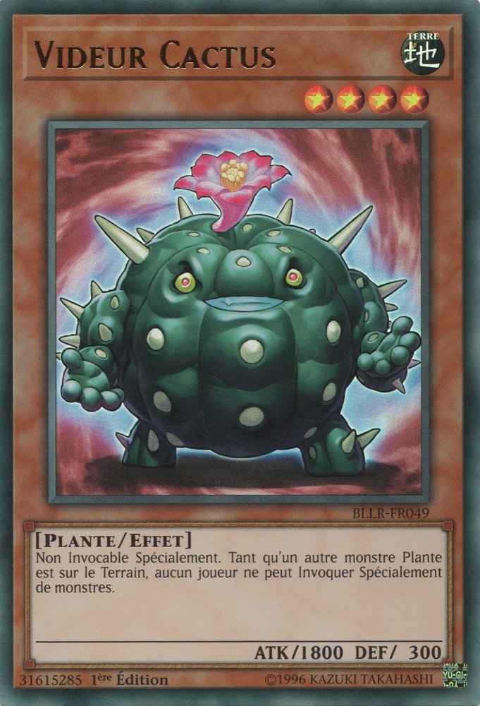 Videur Cactus