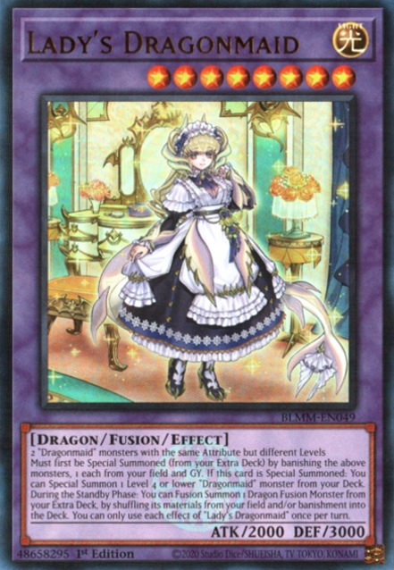 Lady's Dragonmaid