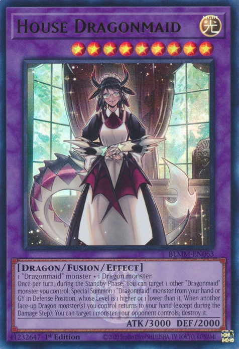 House Dragonmaid