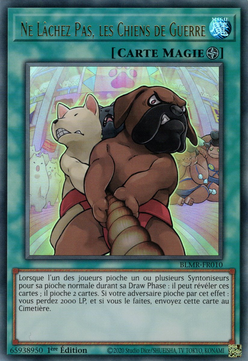 Don't Slip, the Dogs of War