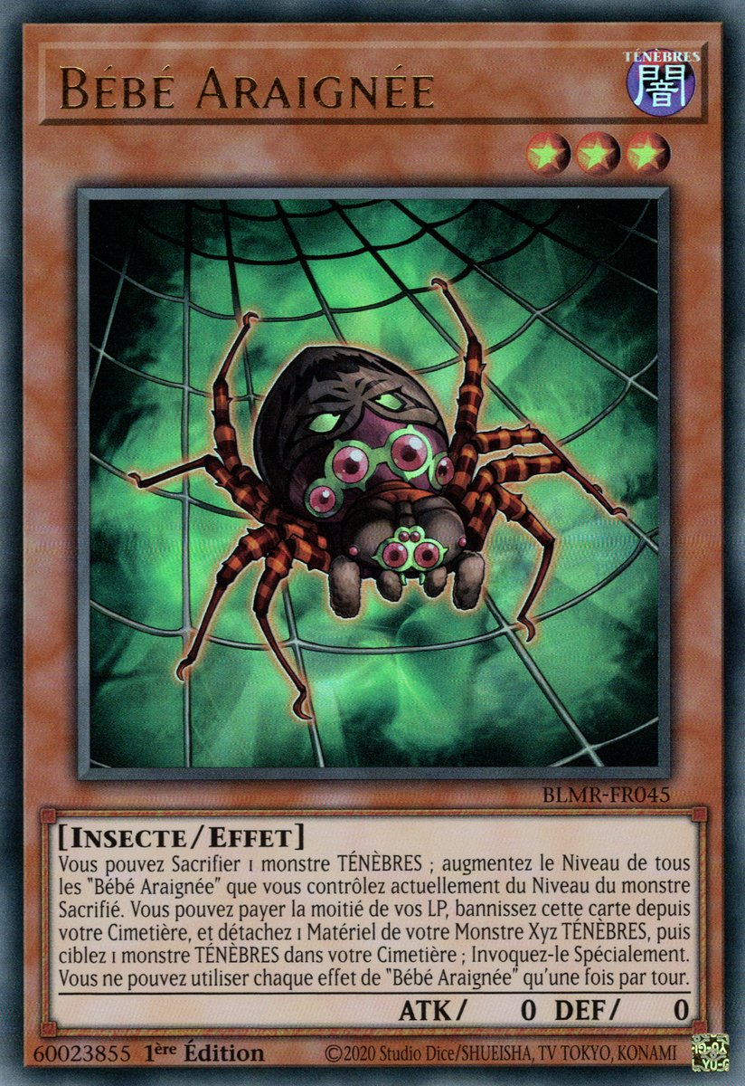 Baby Spider