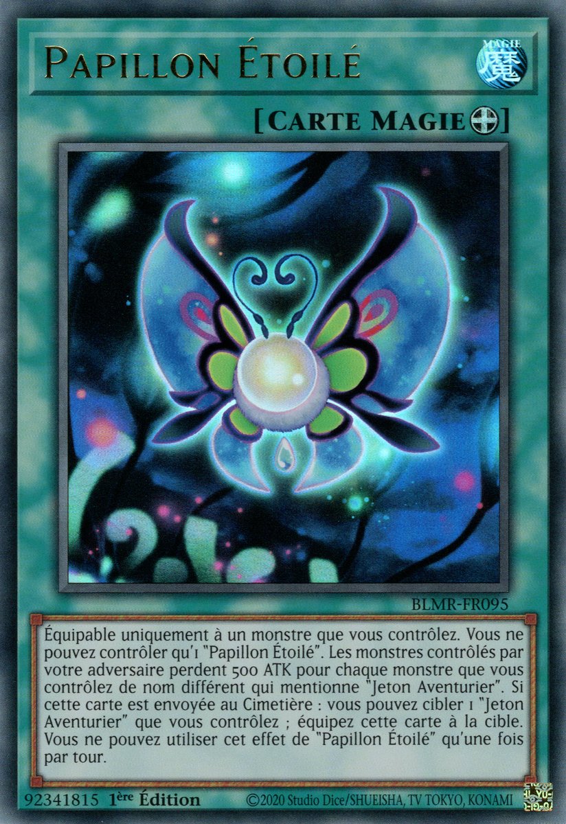 Starlit Papillon