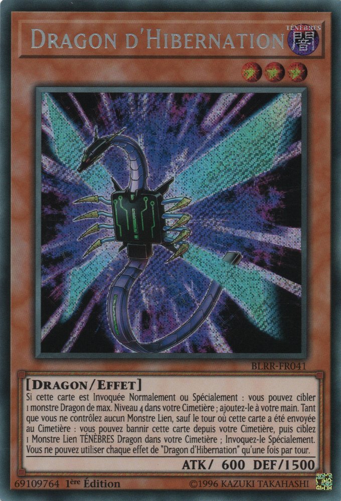 Hibernation Dragon
