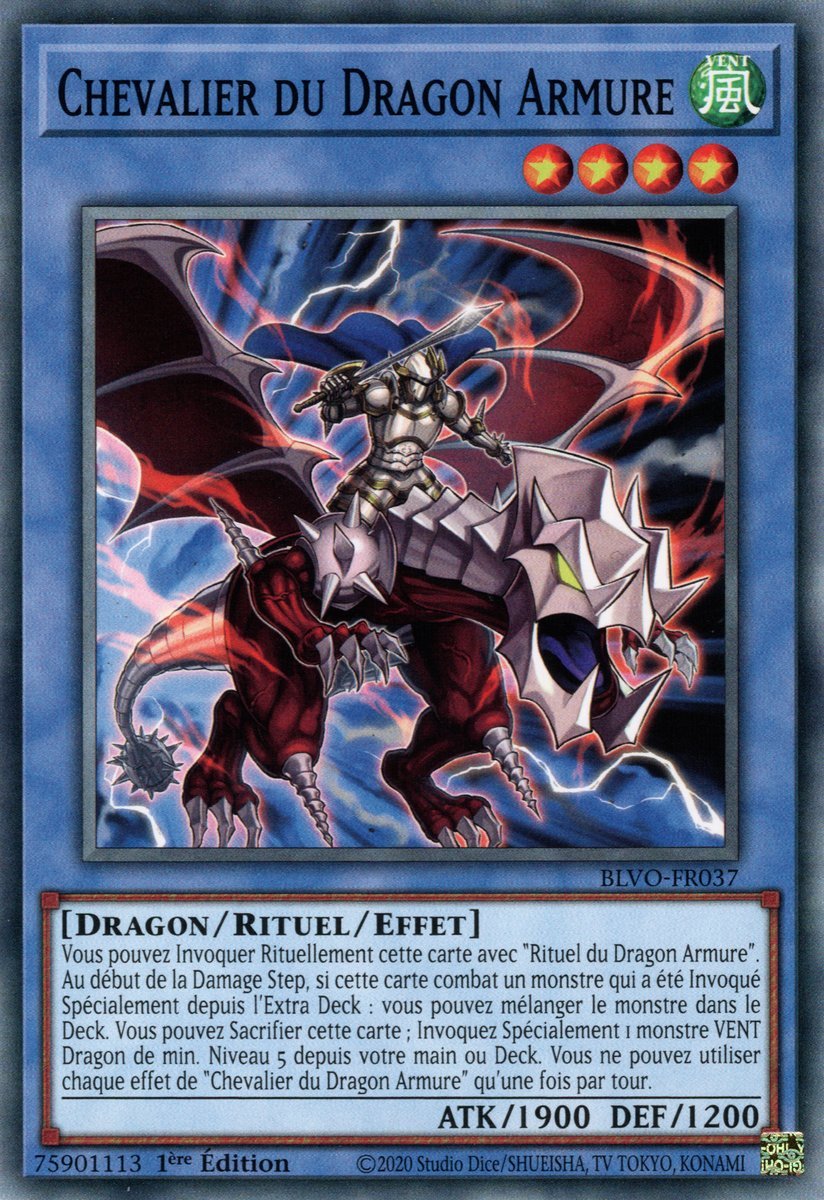 Chevalier du Dragon Armure