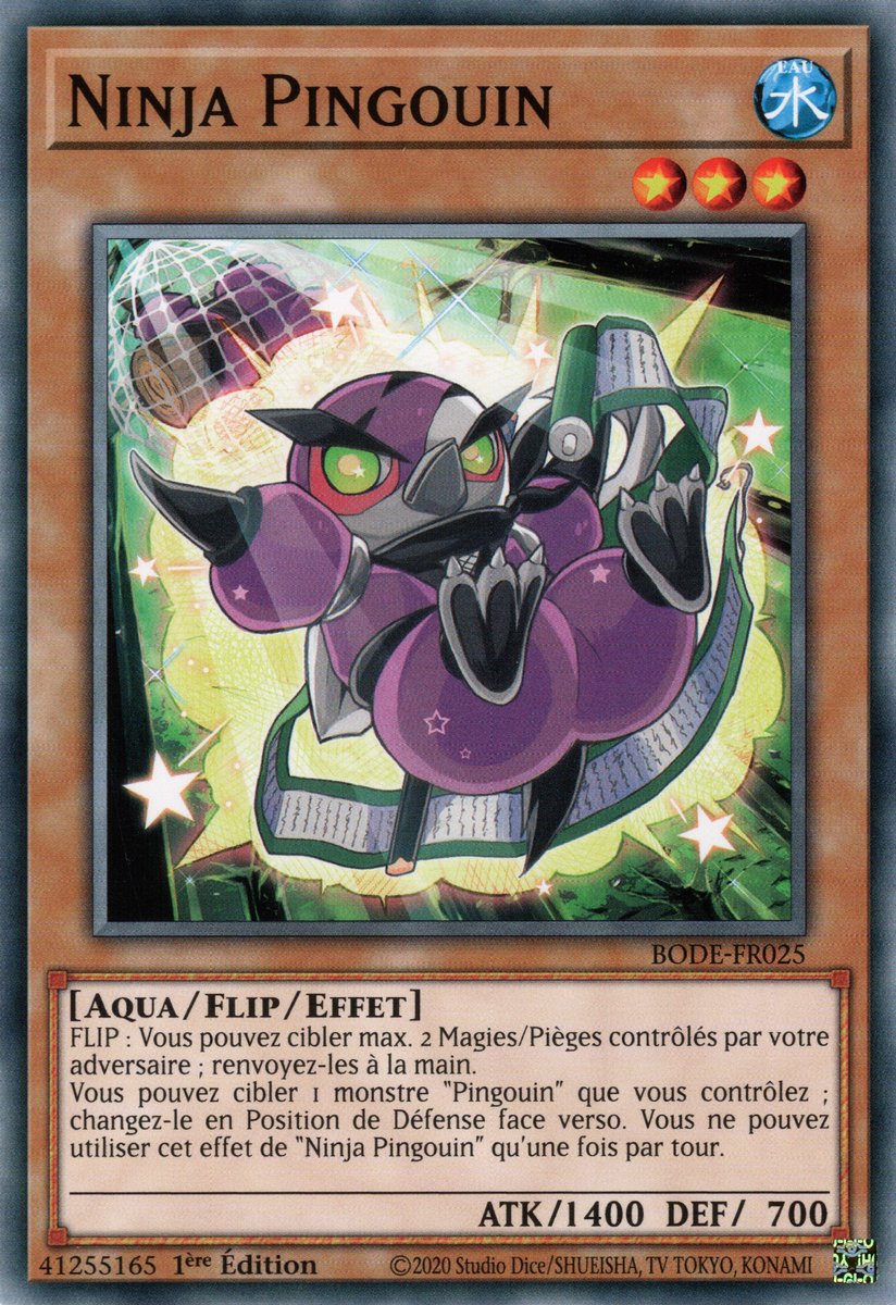 Ninja Pingouin