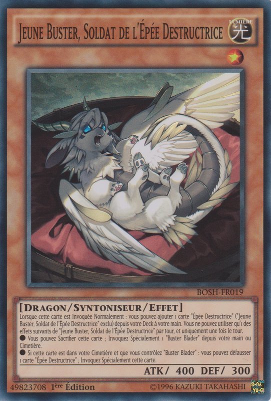 Buster Whelp of the Destruction Swordsman