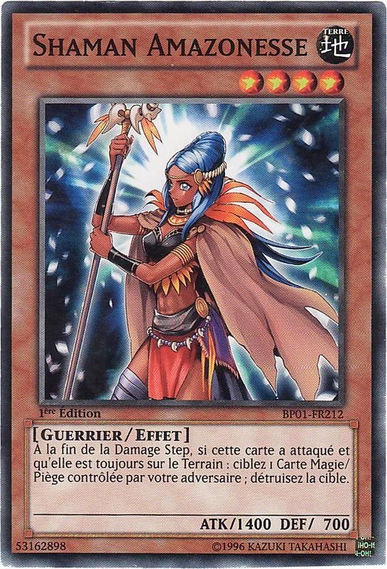 Amazoness Sage