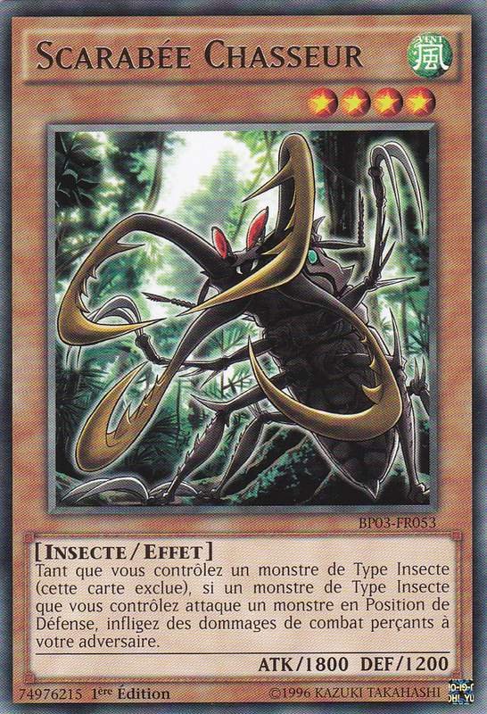 Cross-Sword Beetle