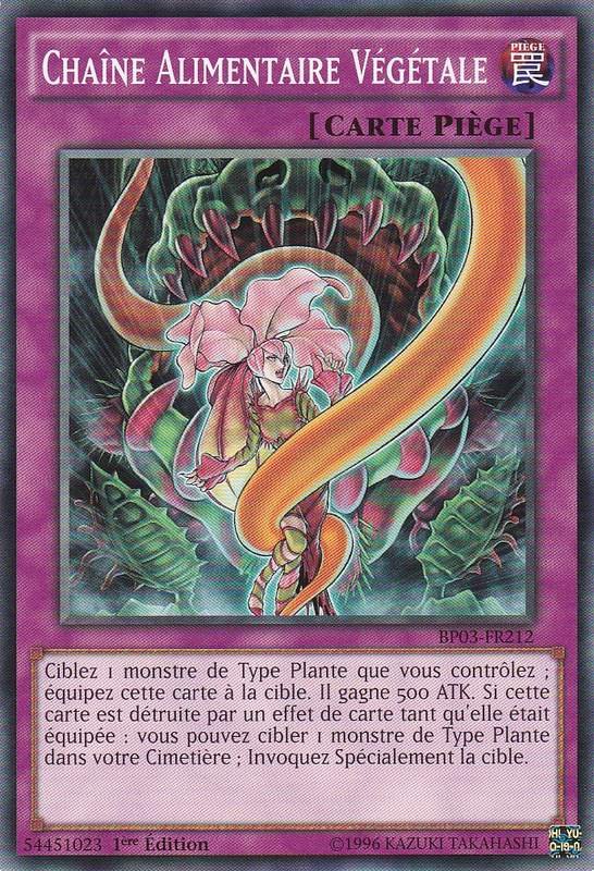 Plant Food Chain