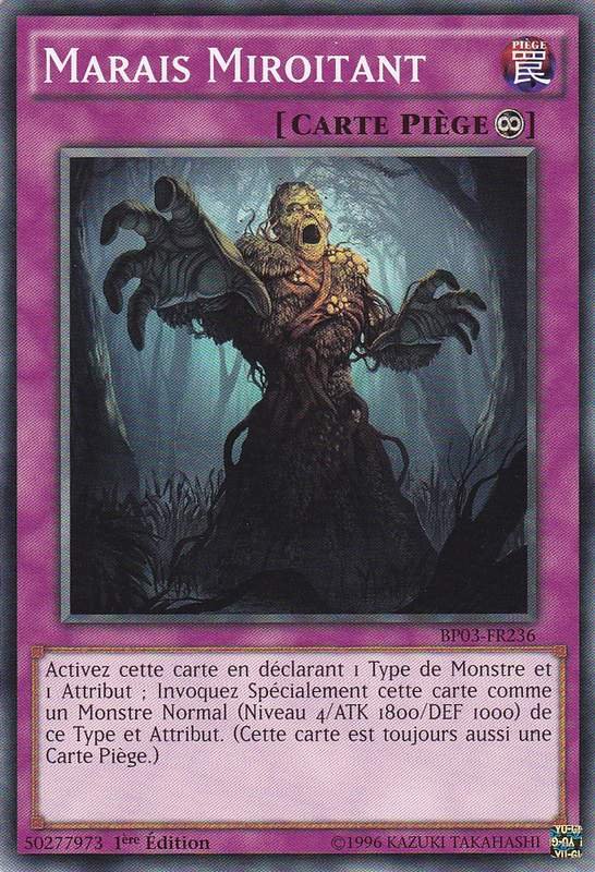 Swamp Mirrorer