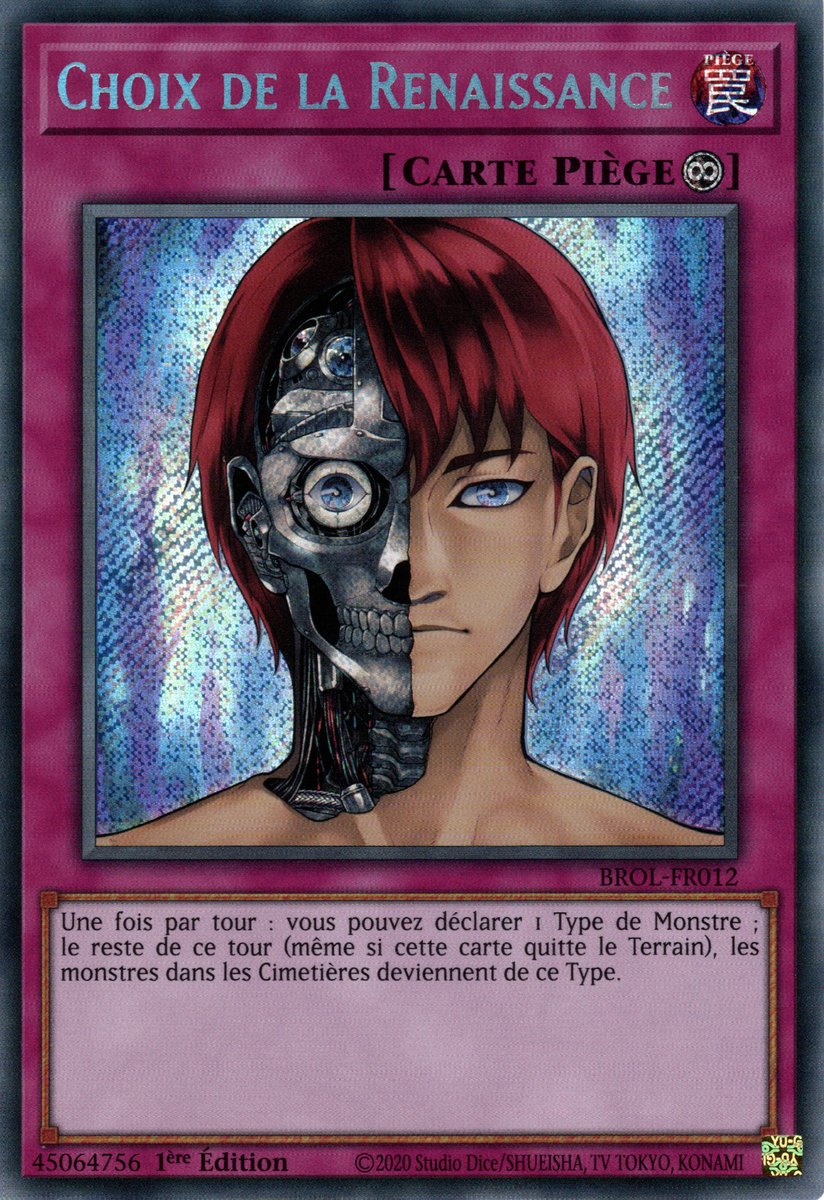 Choix de la Renaissance