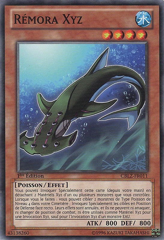 Remora Xyz