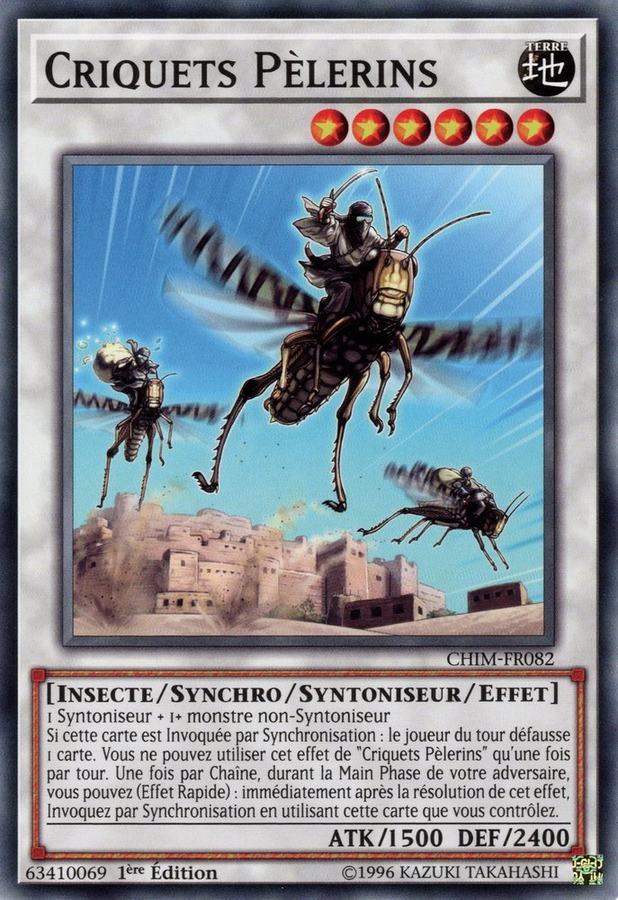 Desert Locusts
