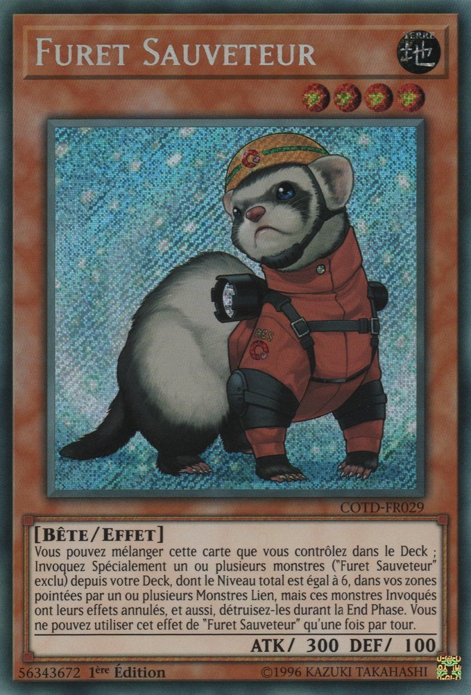 Furet Sauveteur