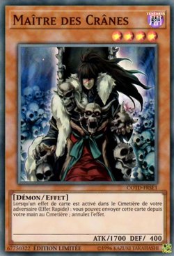 Maître des Crânes