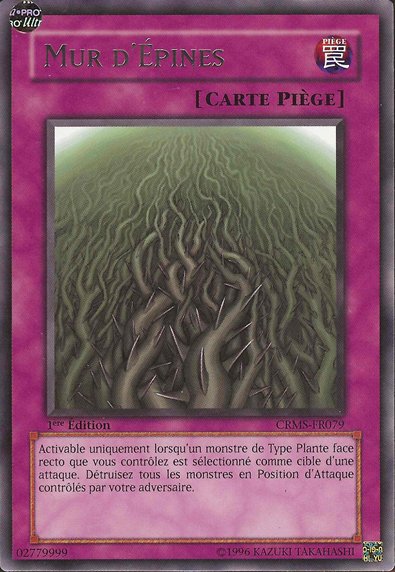Wall of Thorns