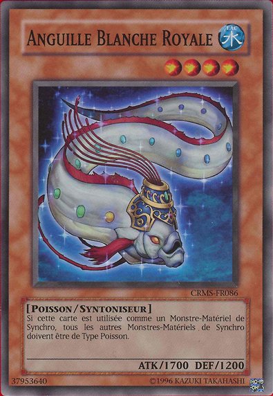 Royal Swamp Eel