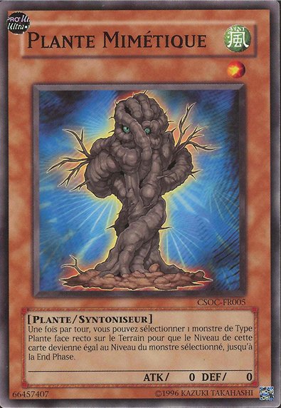 Plante Mimétique