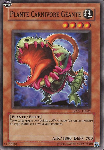 Plante Carnivore Géante