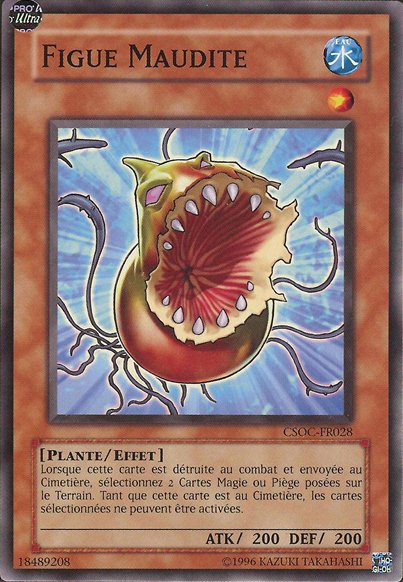 Figue Maudite