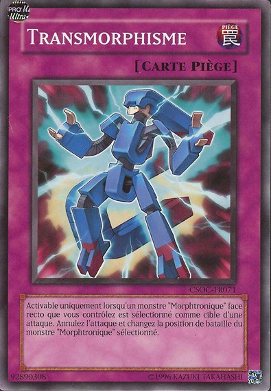 Transmorphisme