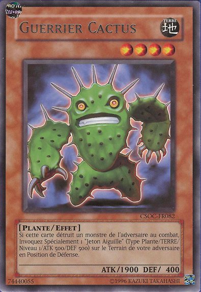 Guerrier Cactus