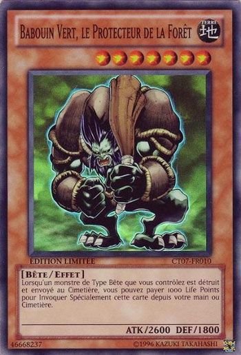 Babouin Vert, le Protecteur de la Foret