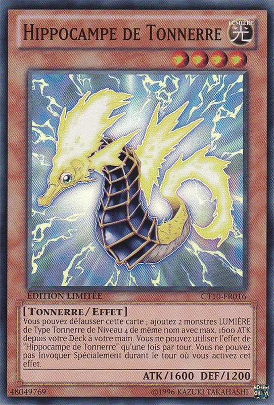 Hippocampe de Tonnerre