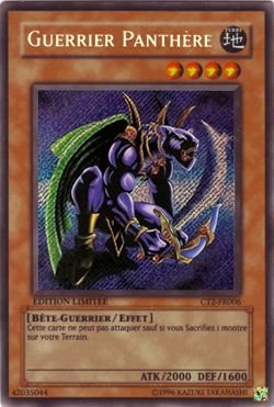 Panther Warrior
