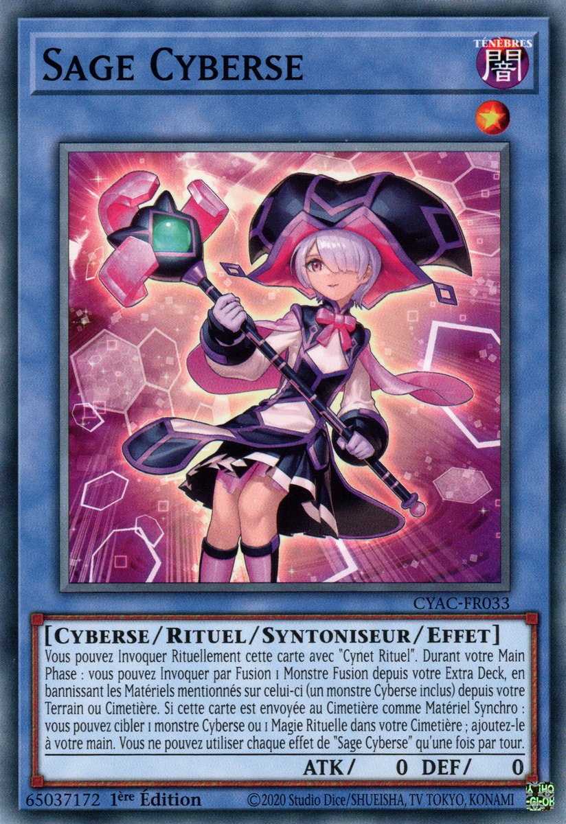 Cyberse Sage