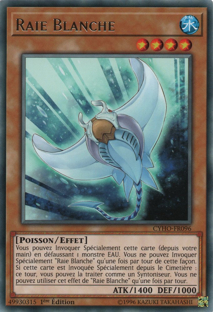 Raie Blanche