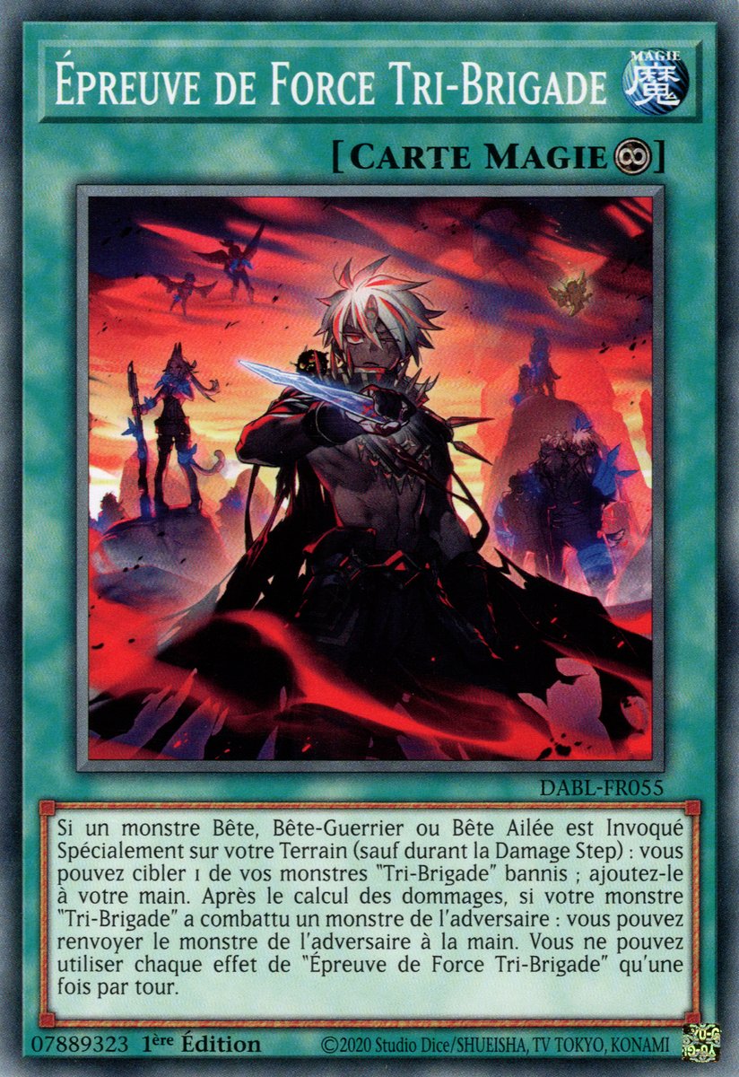Épreuve de Force Tri-Brigade