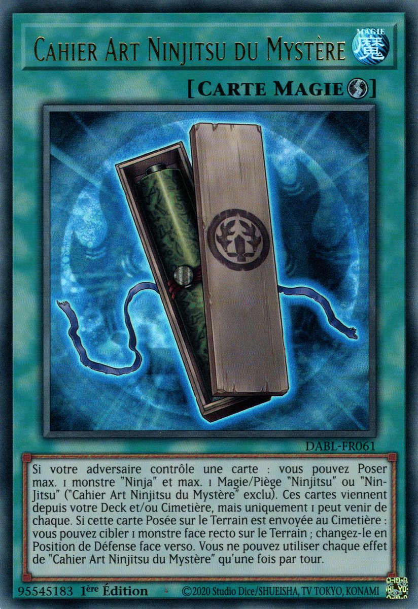 Cahier Art Ninjitsu du Mystère