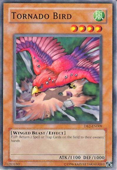Oiseau Tornade