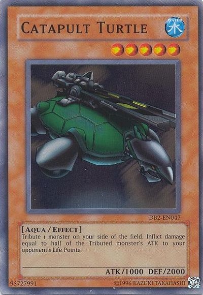Tortue Catapulte