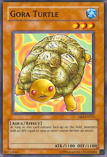 Tortue Gora
