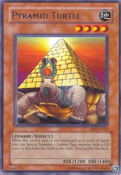 Tortue Pyramide