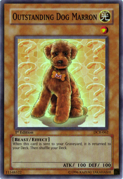 Outstanding Dog Marron