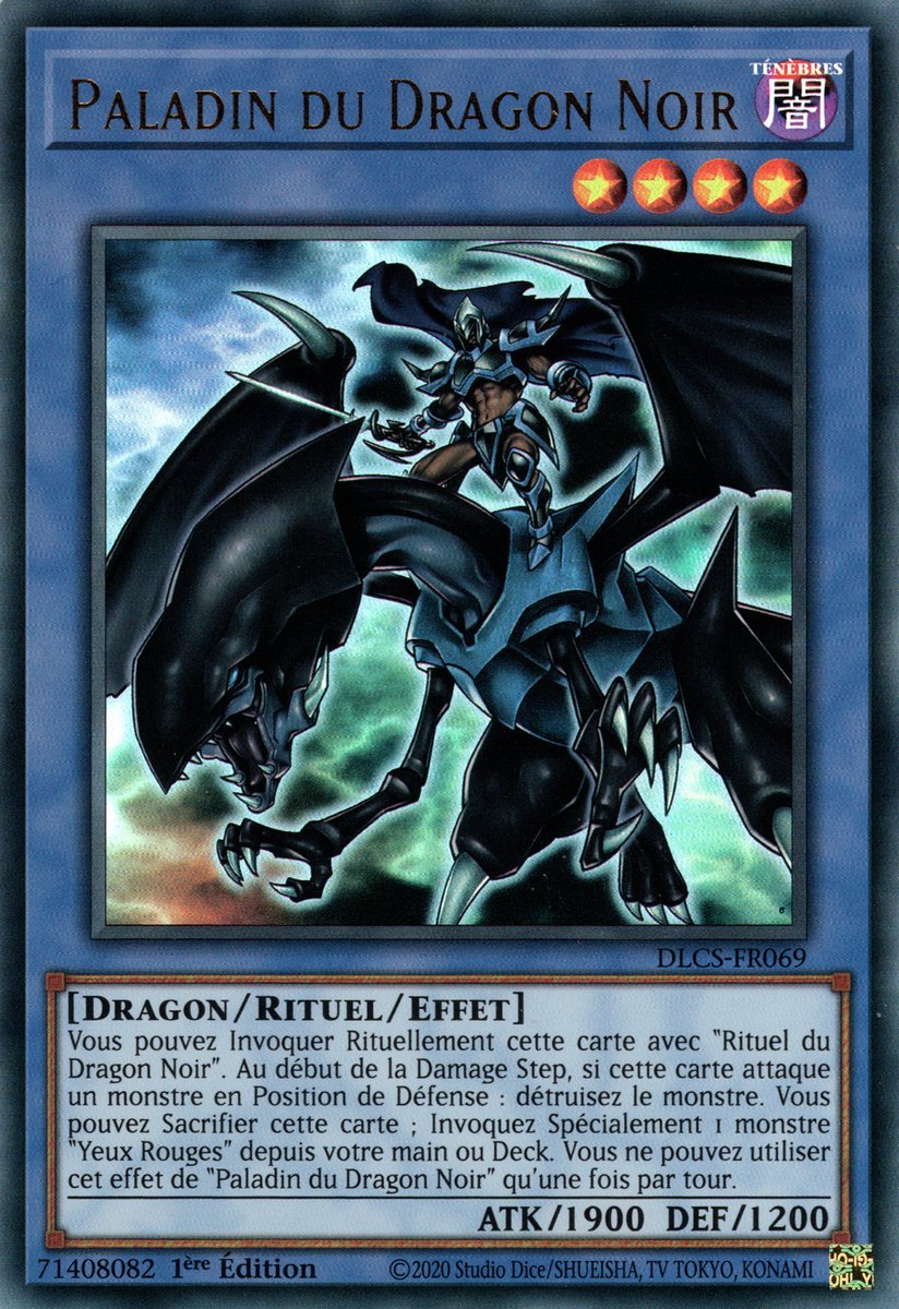 Paladin of Dark Dragon